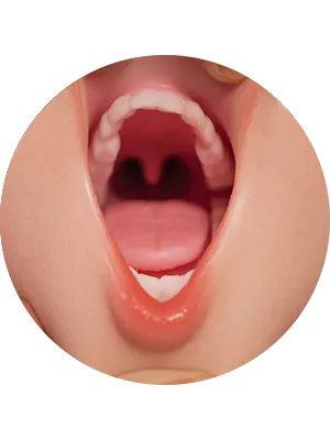 ROS (Real Oral Sex)